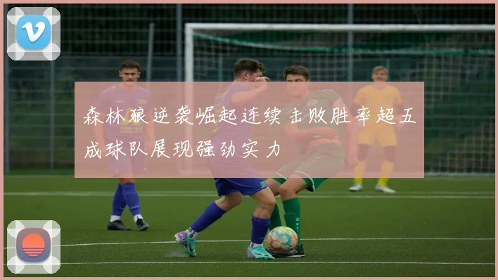 森林狼逆袭崛起连续击败胜率超五成球队展现强劲实力