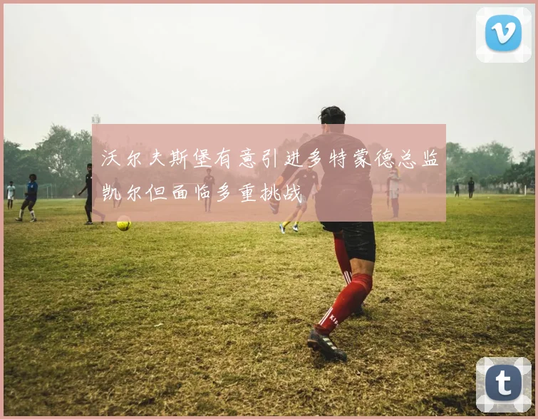 沃尔夫斯堡有意引进多特蒙德总监凯尔但面临多重挑战