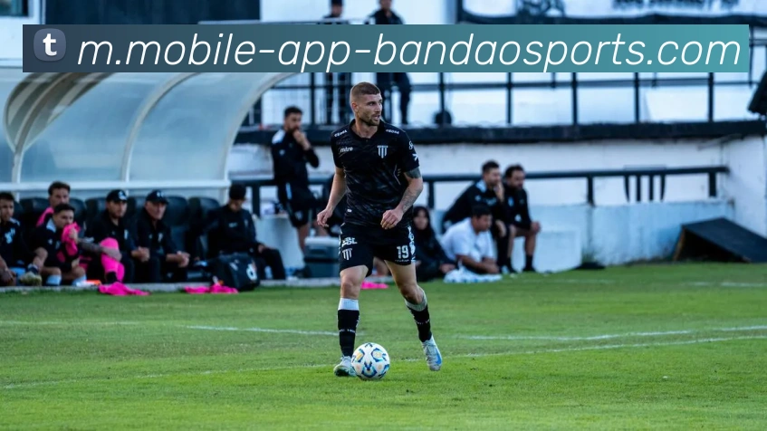 半岛体育APP 体育赛事宣传图